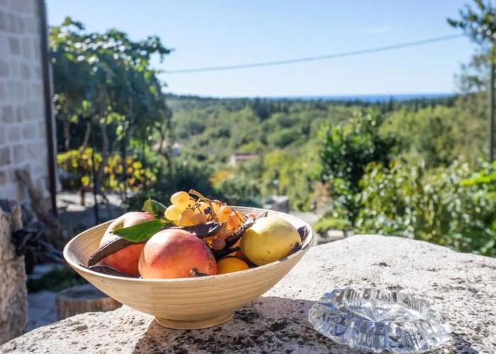 Country House Bakicevo