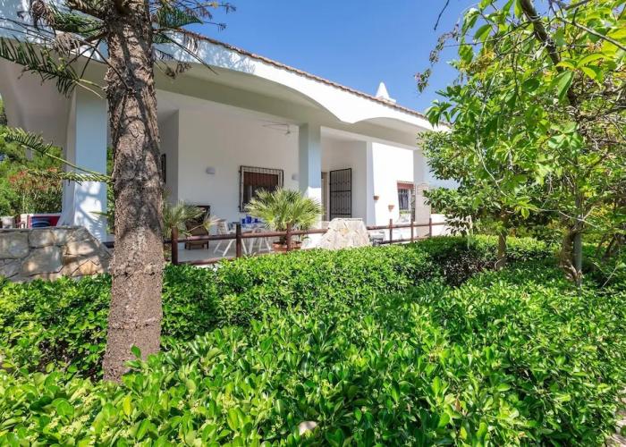 3553 Villa Cirenaica by Barbarhouse