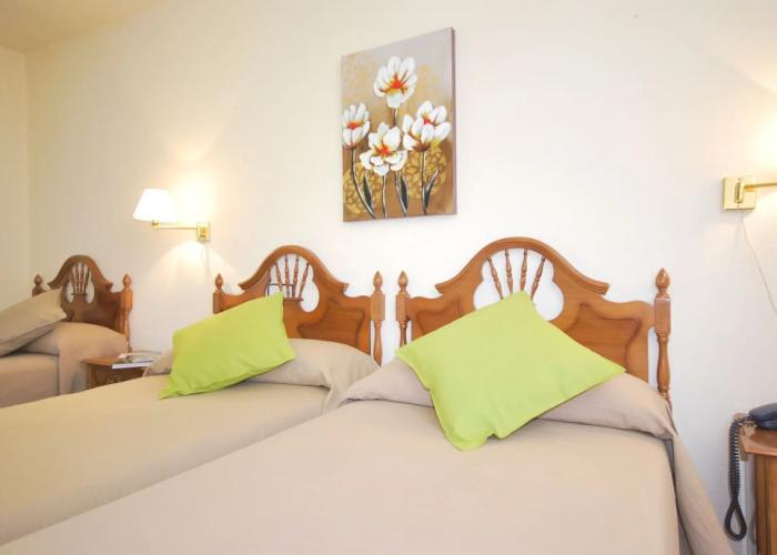 Hotel Principado de Europa