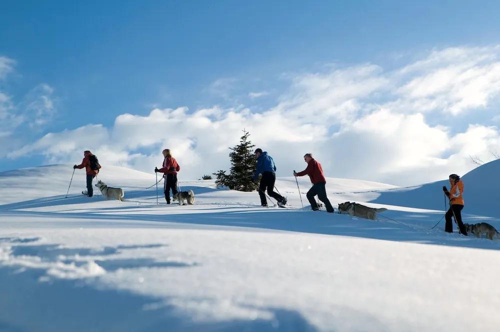 фото Lux Alp Chalet