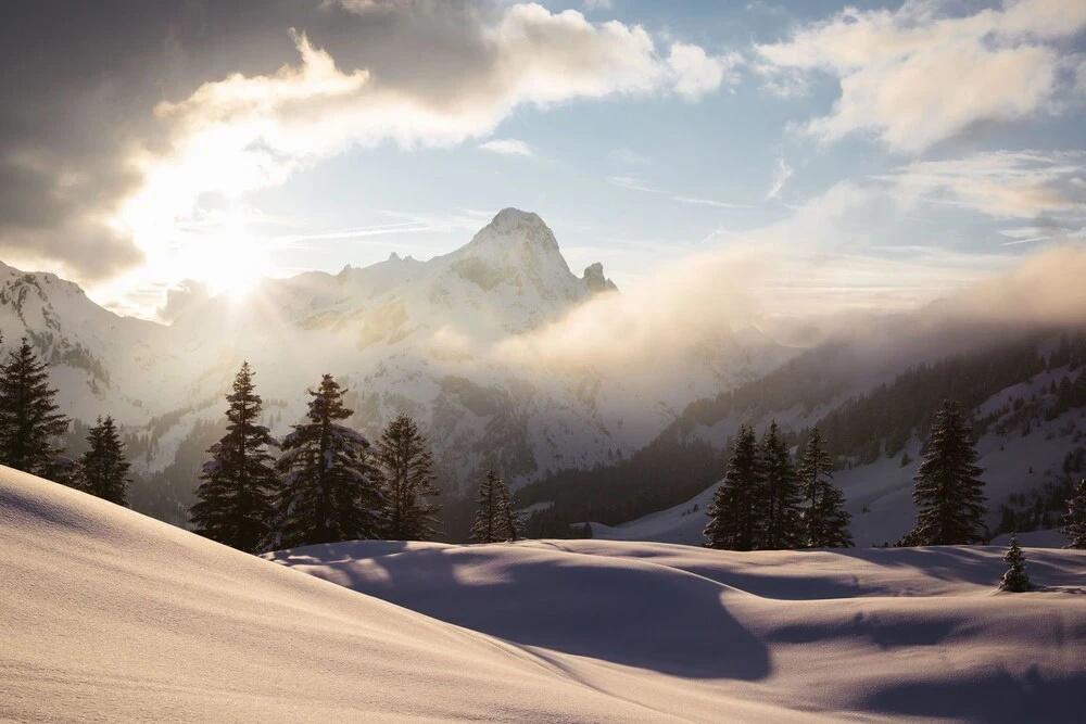 фото Alpin - Studios & Suites