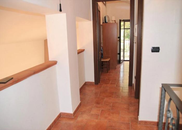 Villa Cycas Relaxation in Nature