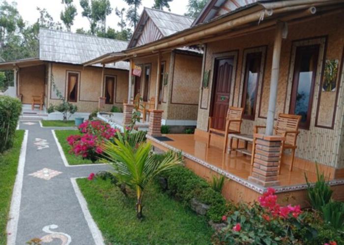 Tiing Bali Guest House Adventure
