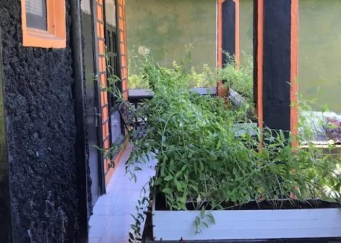 Batur Sunrise Guesthouse