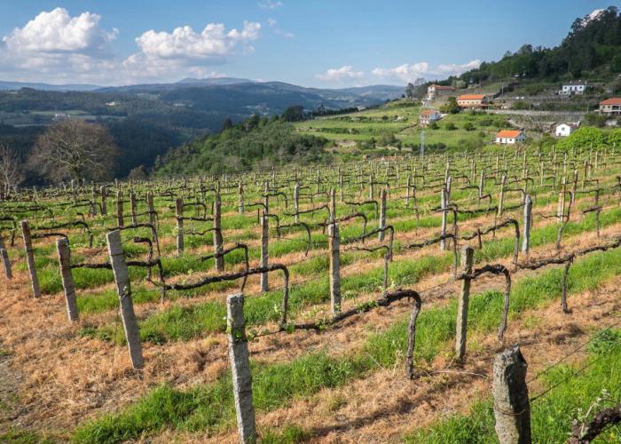Quinta da Calcada