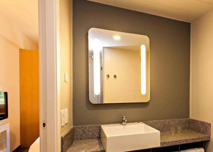 Ibis Pilar