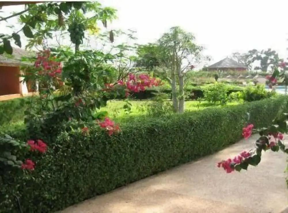 фото Baobab Soleil