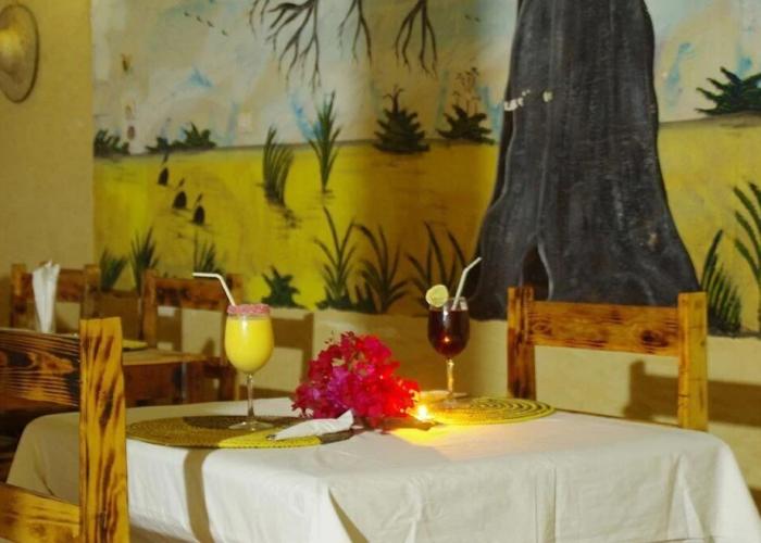 Hotel Mimosa - Hostel