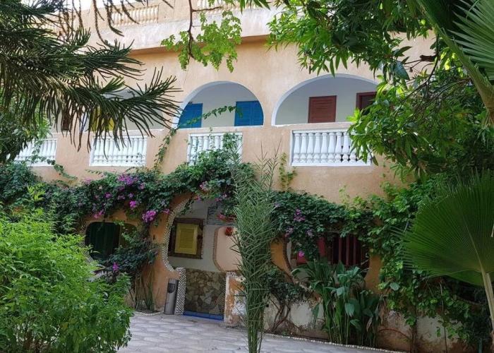 Hotel Mimosa - Hostel