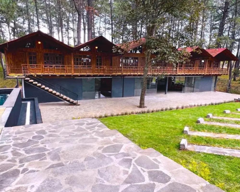 PINE TREE Hotel Boutique & Cabañas