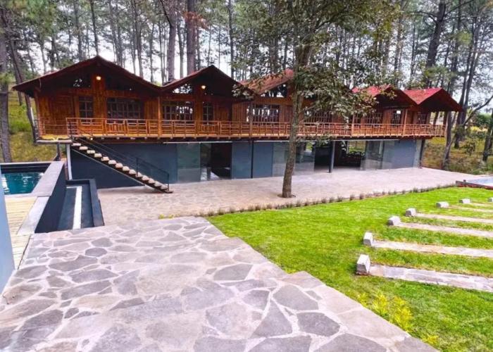 PINE TREE Hotel Boutique & Cabañas