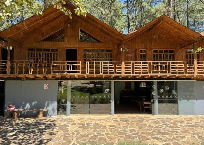 PINE TREE Hotel Boutique & Cabañas