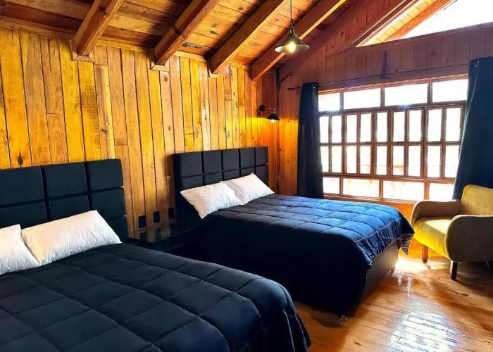 PINE TREE Hotel Boutique & Cabañas