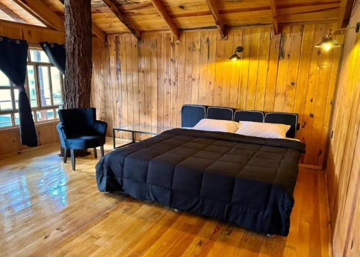 PINE TREE Hotel Boutique & Cabañas