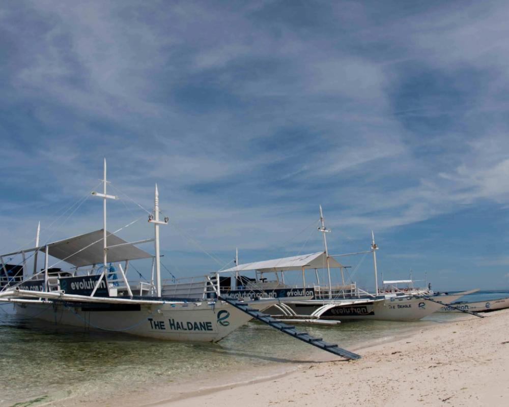 фото Evolution Dive and Beach Resort