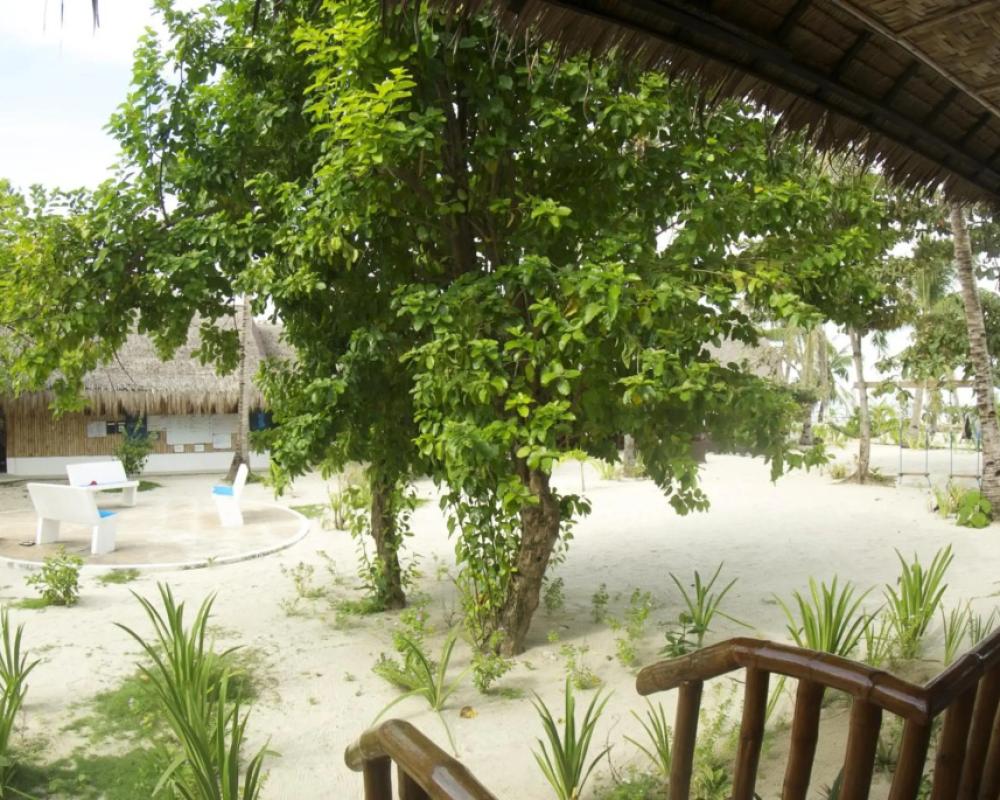 фото Evolution Dive and Beach Resort
