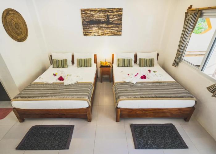 Evolution Dive and Beach Resort