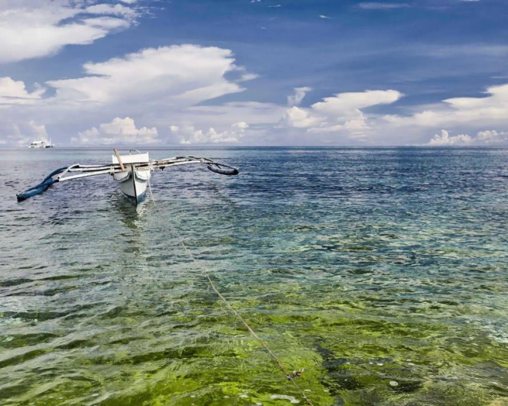 фото Blanco Beach Resort