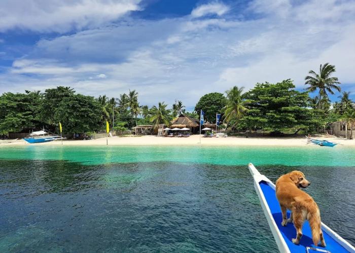Avila's Horizon Dive Resort