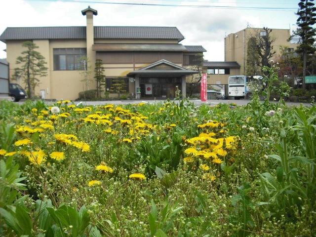 Saku Hotel