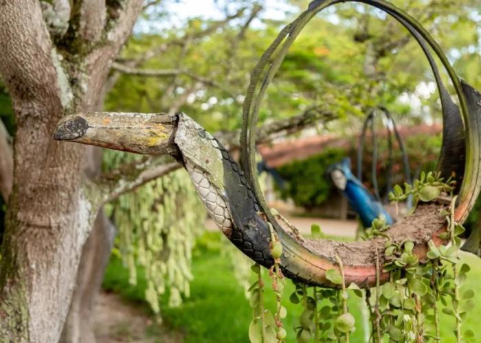 Oasis Boutique Hotel & Spa