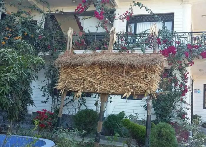 Hotel Bandipur Palace