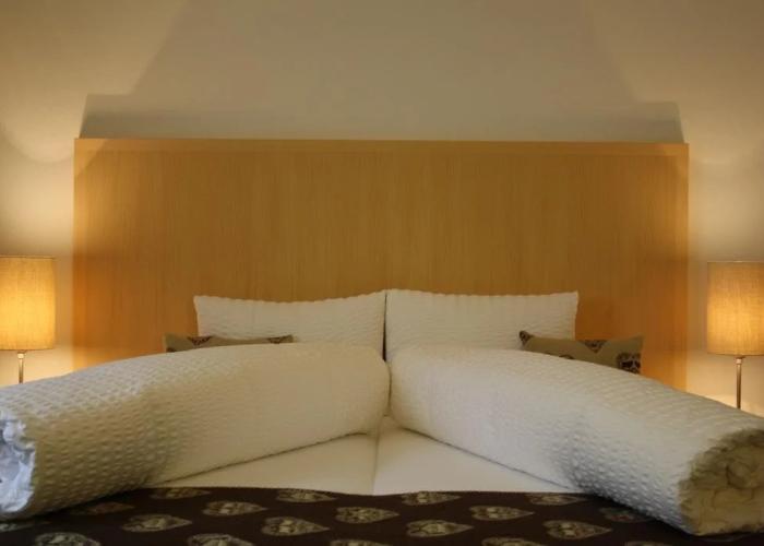 Hotel Alpina