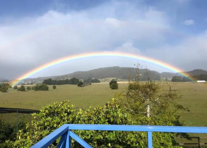 Mole Creek Hideaway