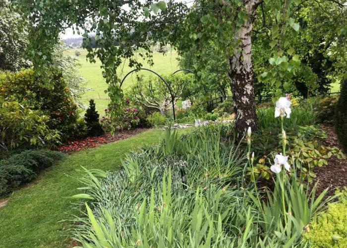 Mole Creek Hideaway