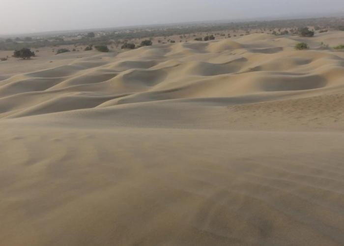 Chandani Desert Resort and Camp