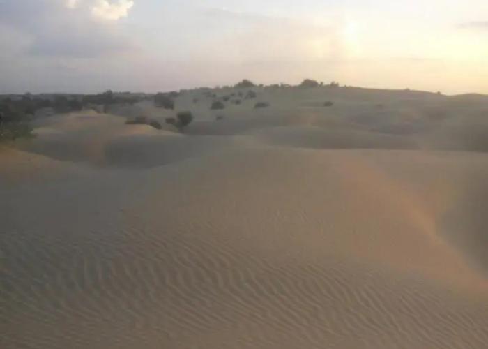 Chandani Desert Resort and Camp