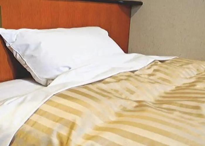Kakegawa Business Hotel Ekinan-Inn