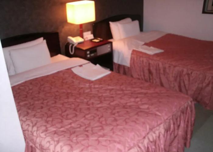 Business Hotel Honjo