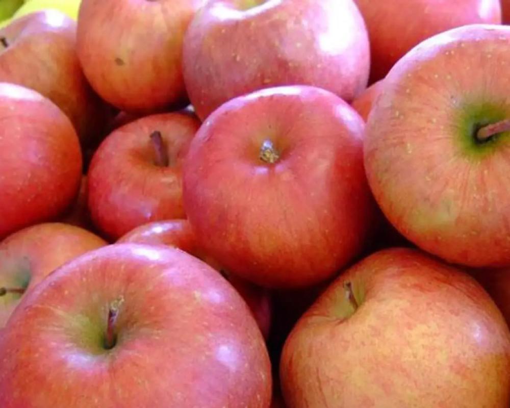 фото Nicchoan Keigetsu