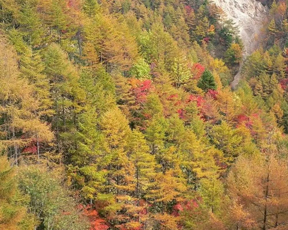 фото Nicchoan Keigetsu