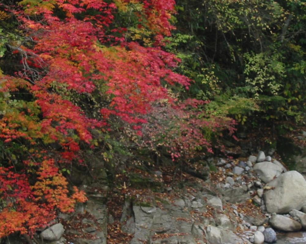 фото Nicchoan Keigetsu