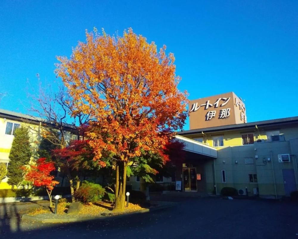 Hotel Route Inn Court Ina