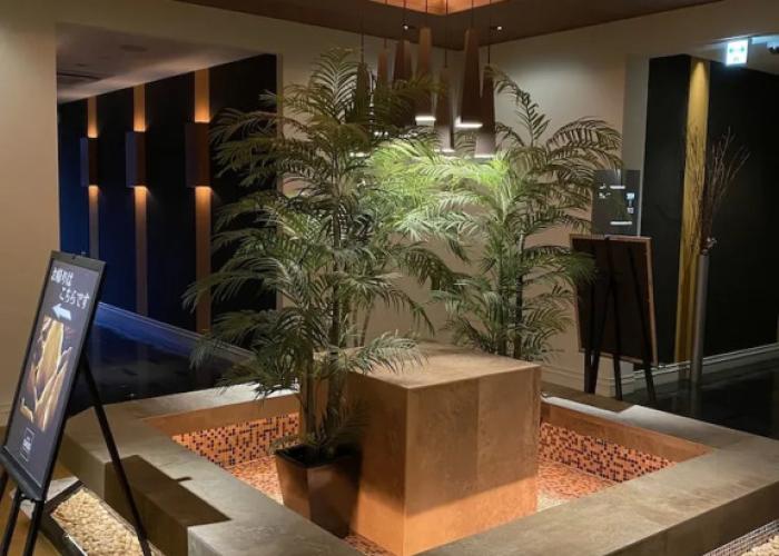 HOTEL OASIS - Adults Only