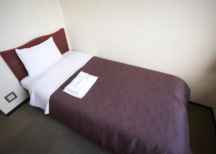 Hotel Select Inn Tsuruga