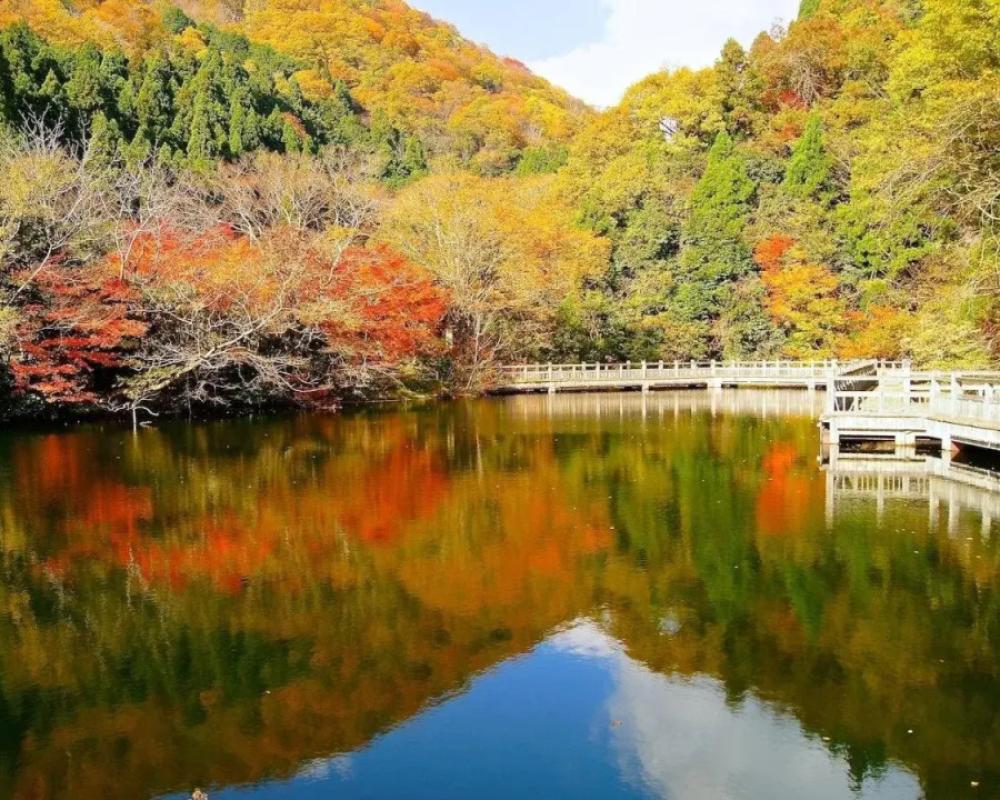 фото Okubiwako Makino Grand Park Hotel