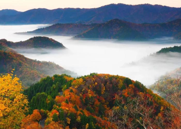 Okubiwako Makino Grand Park Hotel