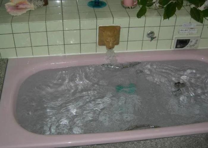 Makino Shirotani Onsen Pension Cuckoo no Su