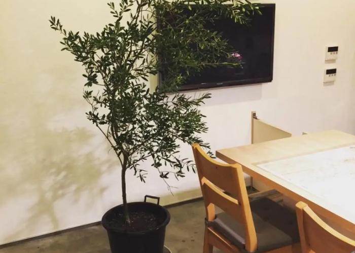 Ohenroyado Tabibito No Yado Kaze No Kuguru