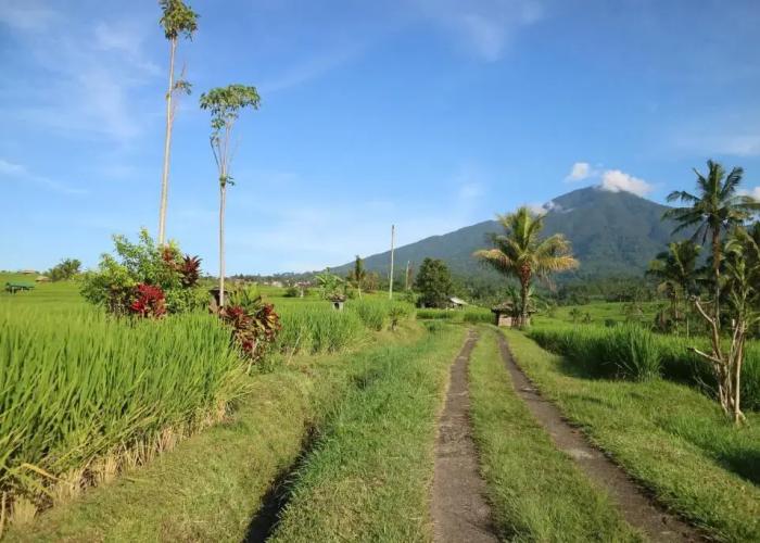 Sang Giri Mountain Tent Resort