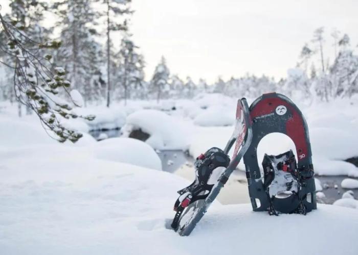 Wilderness Hotel Inari & Igloos