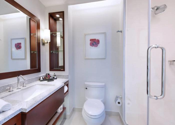 Guyana Marriott Hotel Georgetown