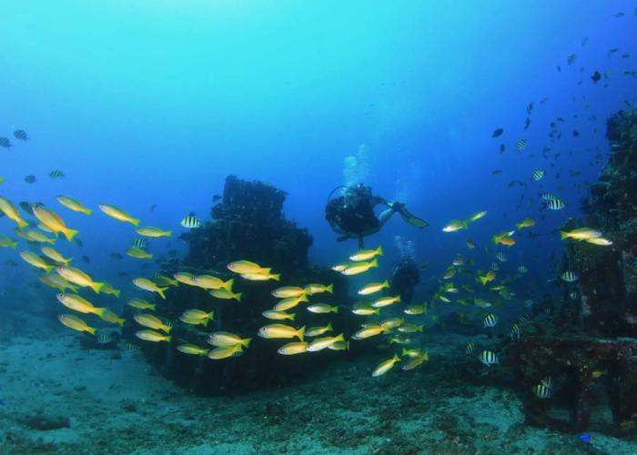Minabali Bunga'lo