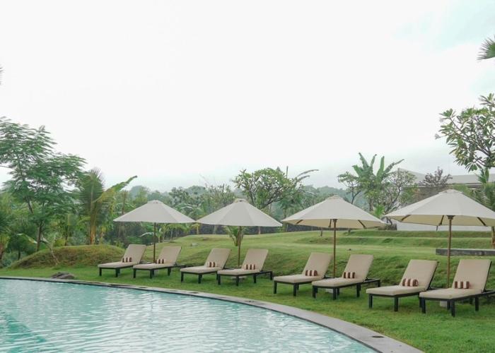 Palm Springs Bali