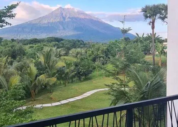 Palm Springs Bali Dive Resorts