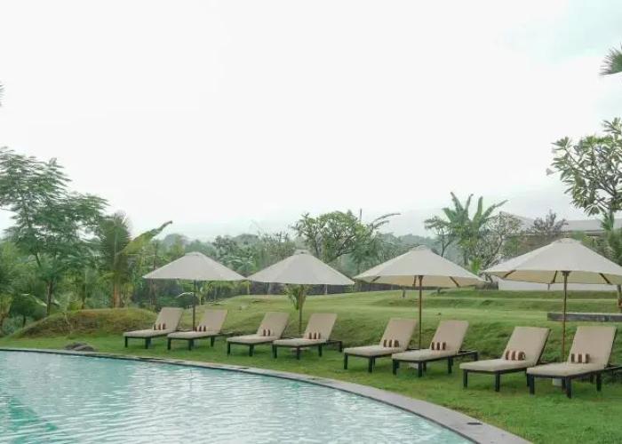 Palm Springs Bali Dive Resorts